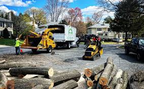 Best Tree Mulching  in Rolling Hills, CA