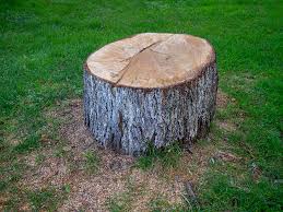 Best Leaf Removal  in Rolling Hills, CA