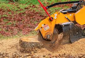 Best Utility Line Clearance  in Rolling Hills, CA